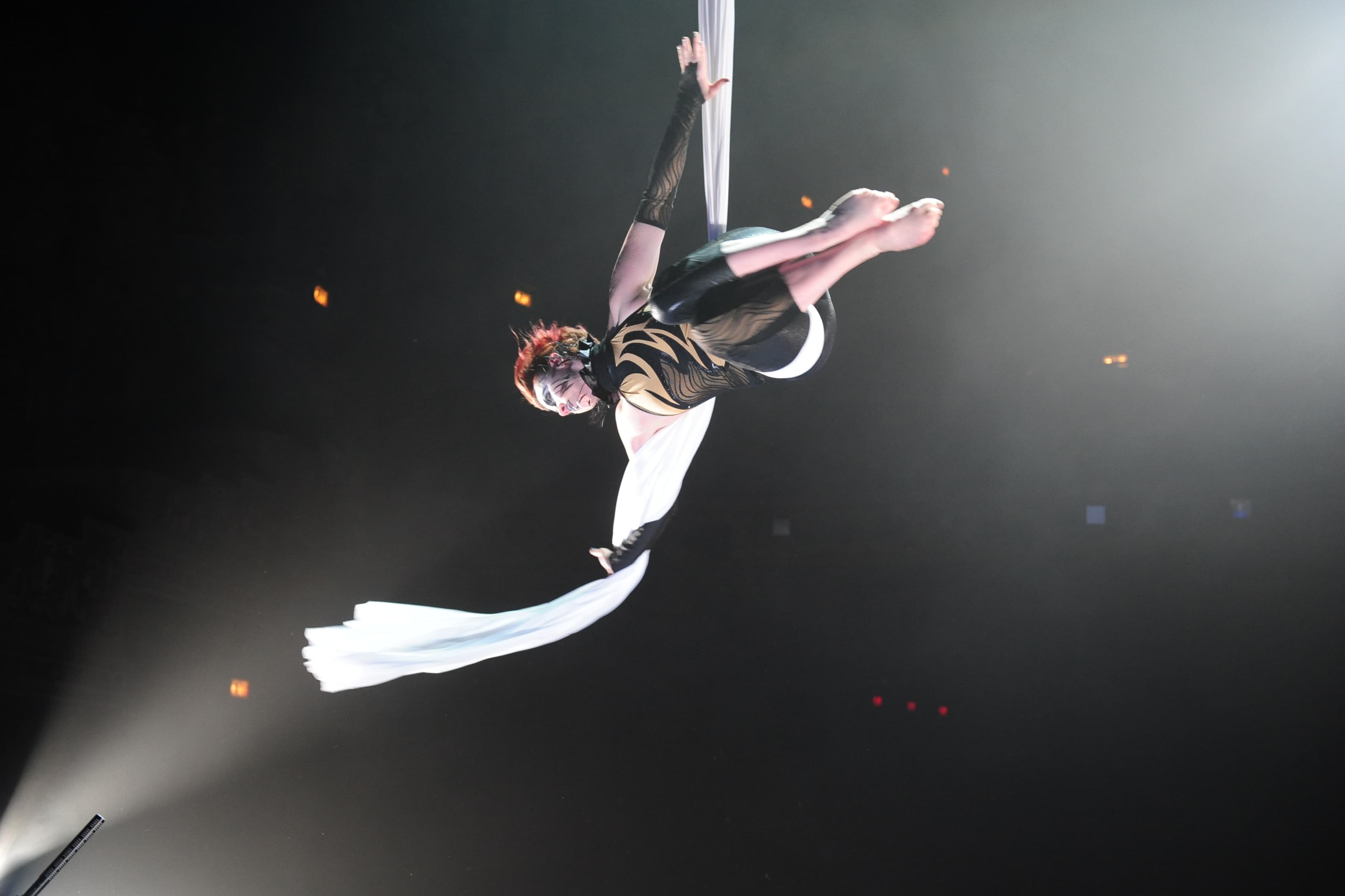 Swan Lake: A Symphonic Cirque Experience