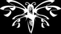 MOTH LIVE